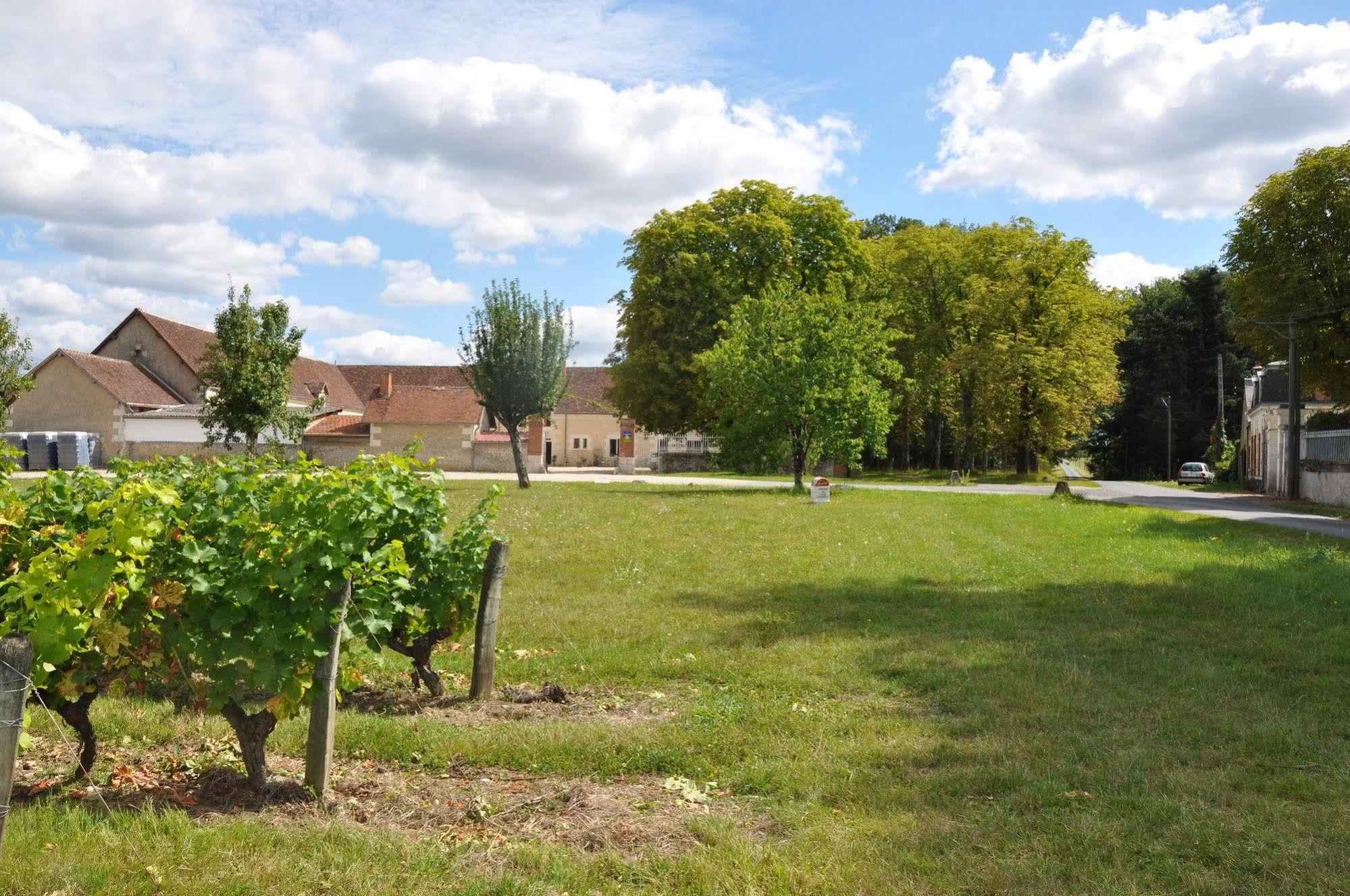 Les Pierres D'Aurele Chambres D'Hotes Saint-Georges-sur-Cher Exteriör bild